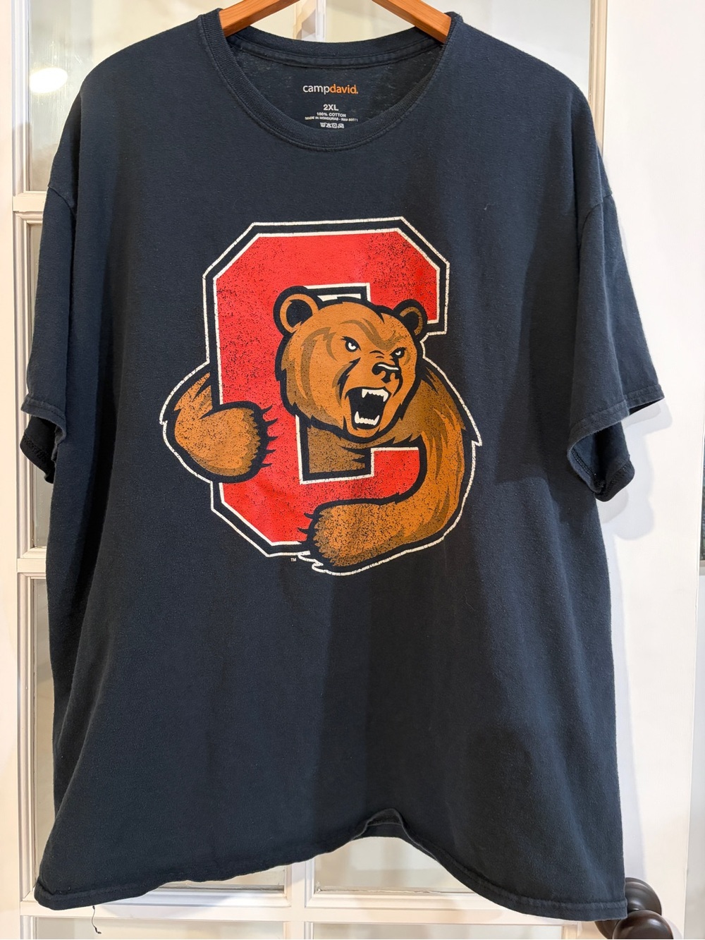 Cornell Big Red Bear Through C Black Graphic Jersey T-Shirt 2XL Camp David